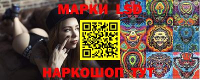 амф Можга