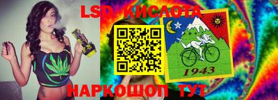 амф Можга