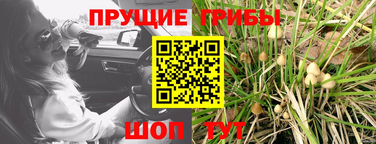 Галлюциногенные грибы Magic Shrooms Черногорск